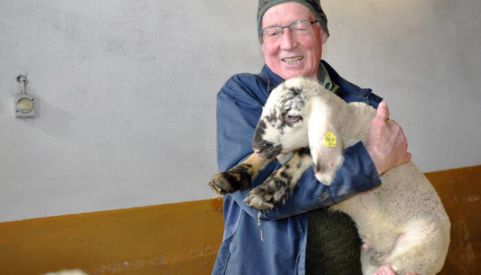 Kurt Mitterlehner Mit Einem Lamm