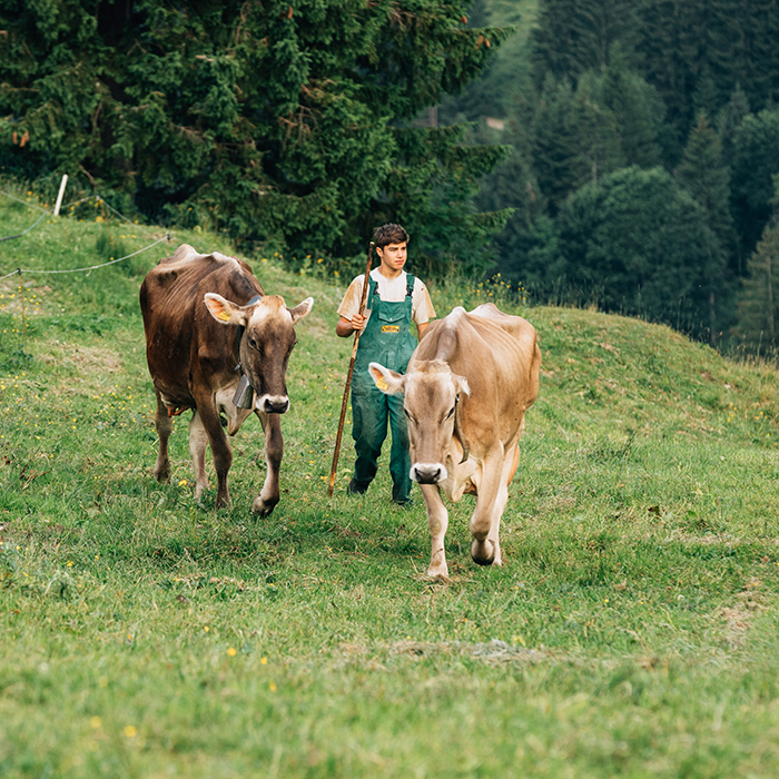 Tobias Pfister von der Alpe Kassa Wildmoos (Foto: Weissengruber)