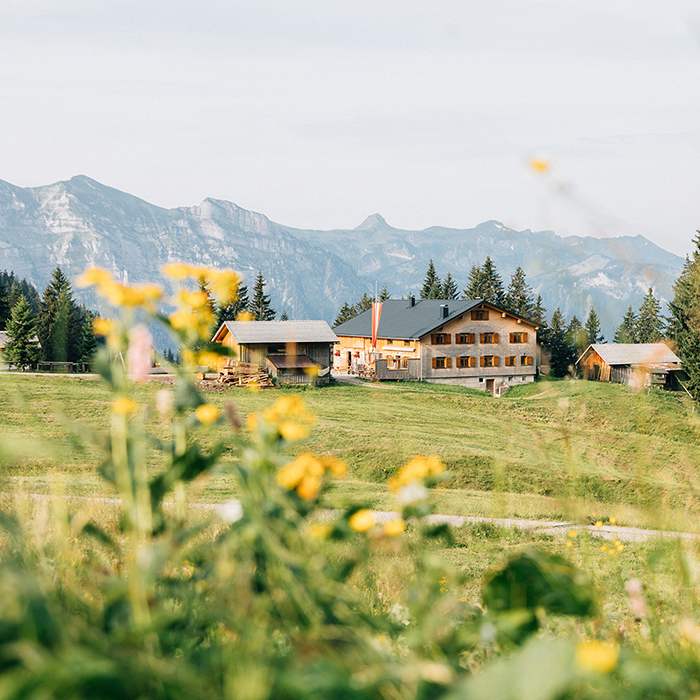 Die Alpe Kassa Wildmoos vor dem Bergpanorama | Foto: Weissengruber & Partner