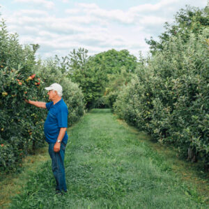 Manfred Nägele In Seiner Apfelplantage | Foto: Weissengruber & Partner