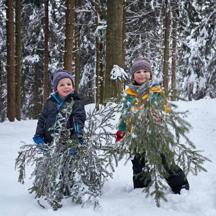 Zwei Kinder mit Tannenästen vom Ländle Christbaum vom Bio-Bauernhof von Alois Heidegger | Foto: Pallinger
