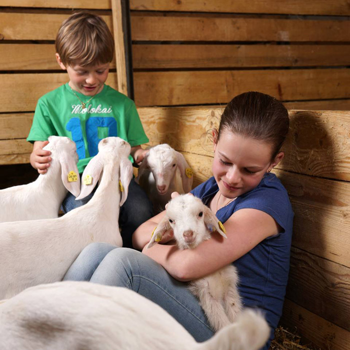 Die Kinder von Familie Metzler mit den Ländle Ziegenkitzen | Foto: Ludwig Berchtold