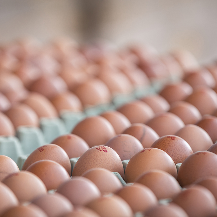 Die Ländle Eier des Sennhofs | Foto: Weissengruber & Partner