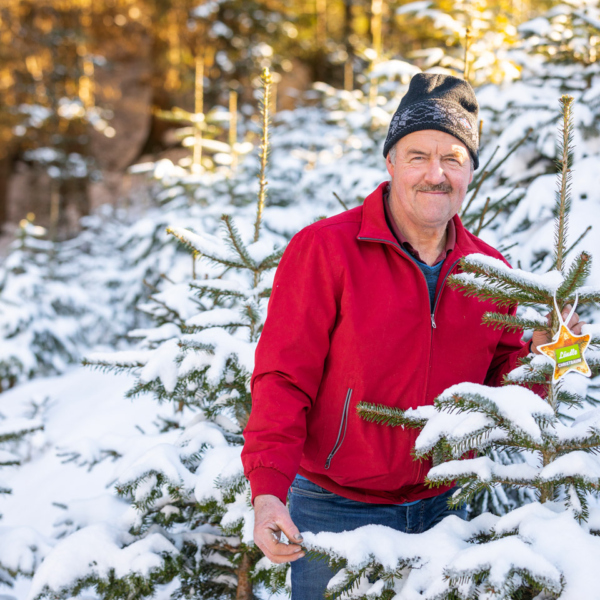 Konrad Bereuter im winterlichen Christbaumwald | Foto: Weissengruber & Partner