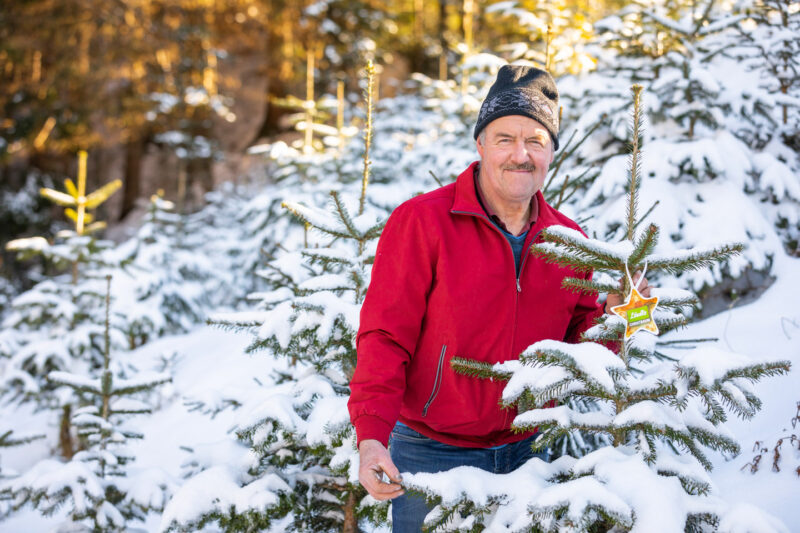 Konrad Bereuter Im Winterlichen Christbaumwald | Foto: Weissengruber & Partner