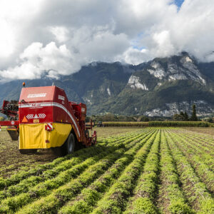 Rückansicht Der Erntemaschine Auf Dem Kartoffelfeld | Foto: Weissengruber & Partner