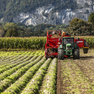 Frontansicht Der Erntemaschine Bei Der Kartoffelernte | Foto: Weissengruber & Partner