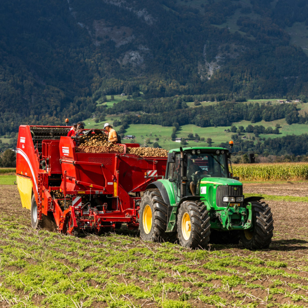 Ein Traktor zieht die Erntemaschine auf dem Feld von Rheintaler Feldfrüchte | Foto: Weissengruber & Partner