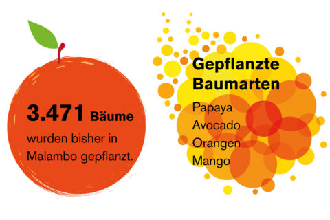 3.471 gepflanzte Bäume - Papaya, Avocado, Orangen und Mango