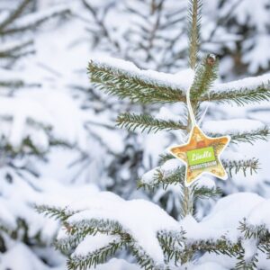 LändleGütesiegel_LändleChristbaum_Weissengruber