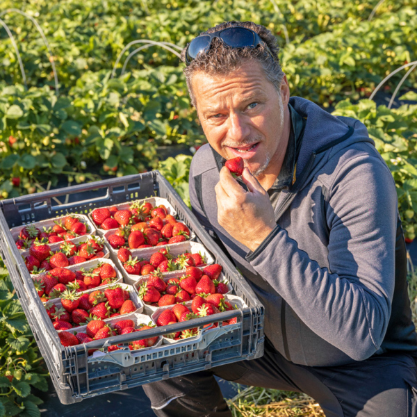 Wolfgang Karg mit einer Steig Erdbeeren auf dem Feld | Foto: Weissengruber & Partner