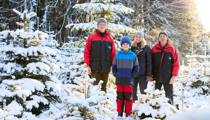 Familie Kaufmann Mit Ihren Ländle Christbäumen