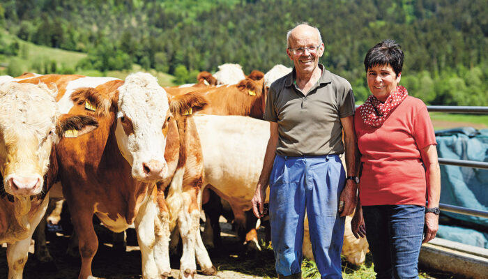 Maria Luise Und Michael Fritsche Mit Ihren Rindern