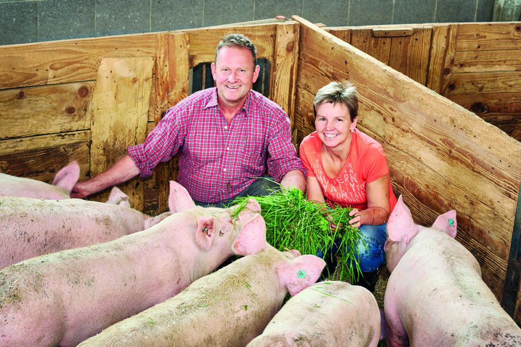 Bruno Und Christine Moosbrugger Sitzen Im Schweinestall Und Füttern Schweine Mit Gras