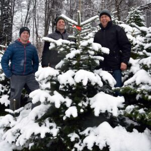 Drei Männer Stehen Inmitten Von Mit Schnee Bedeckten Christbäumen