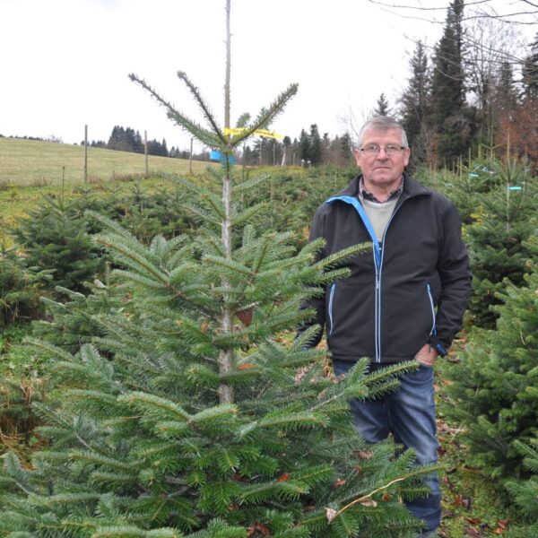 Helmut Flatz steht hinter einem Christbaum, im Hintergrund sind mehrere Christbäume zu sehen