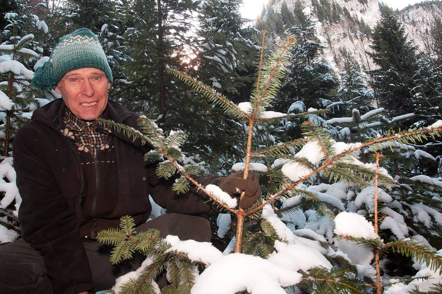 Karl Danner Sitzt Neben Einem Seiner, Mit Schnee Bedeckten Christbäume Und Hält Diesen Fest, Dabei Lächelt Er In Die Kamera