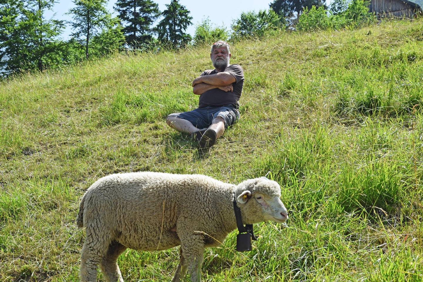 Bernhard Schwärzler Sitzt In Der Wiese Auf Einem Hügel, Vor Ihm Grast Ein Schaf