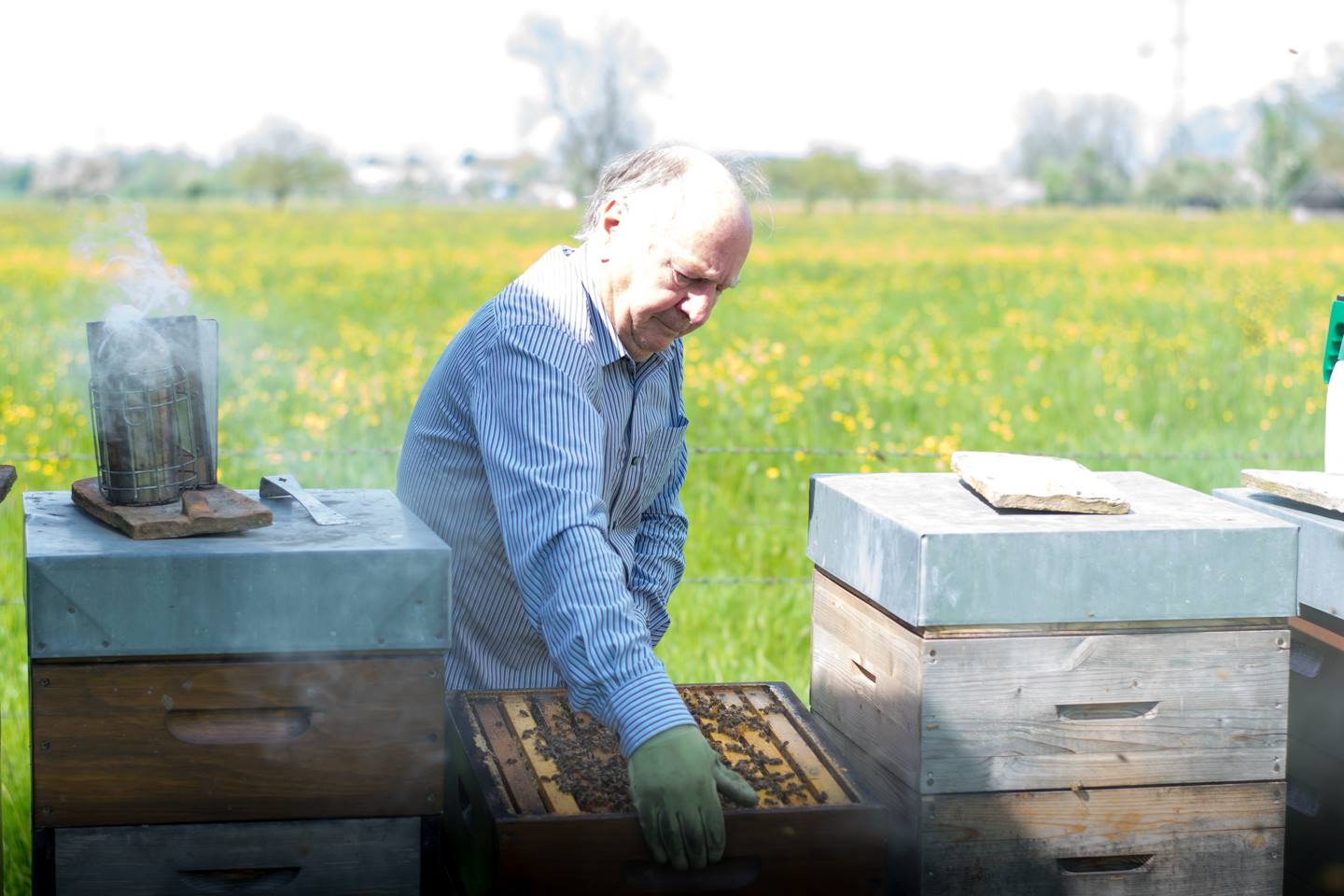Egon Gmeiner Versucht Einen Bienenstock Anzuheben, Außerdem Zeigt Das Bild Noch Mehrere Andere Bienenstöcke