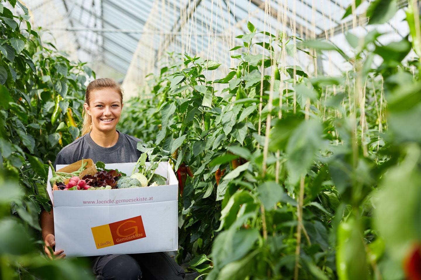 Fabienne Gehrer Steht Im Gewächshaus Und Hält Dabei Ihre Gemüsekiste In Der Hand