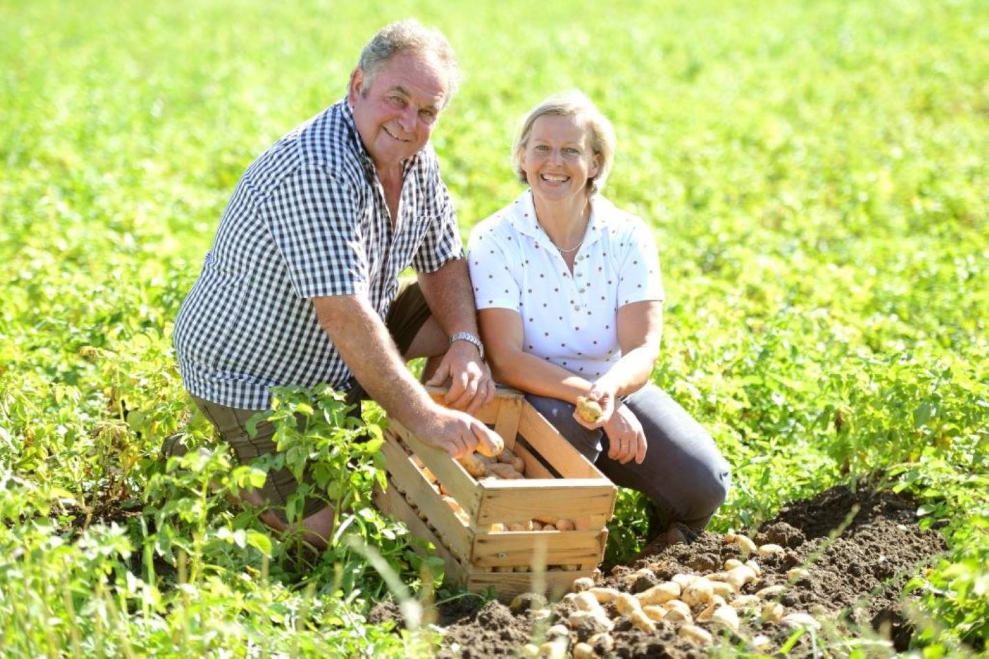 Edwin Reiner Kniet Mit Seiner Frau Inmitten Des Kartoffelfeldes, Beide Lächeln In Die Kamera