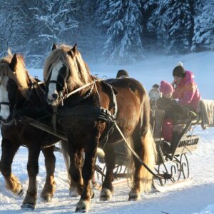 Zwei Pferde Ziehen Einen Schlitten In Einer Schneelandschaft, Im Schlitten Sitzen Personen