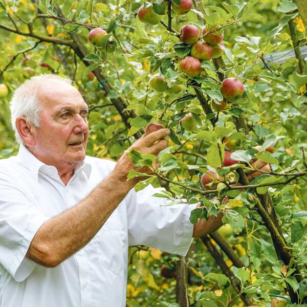 Ländle Apfel Produzent Toni Schiefer