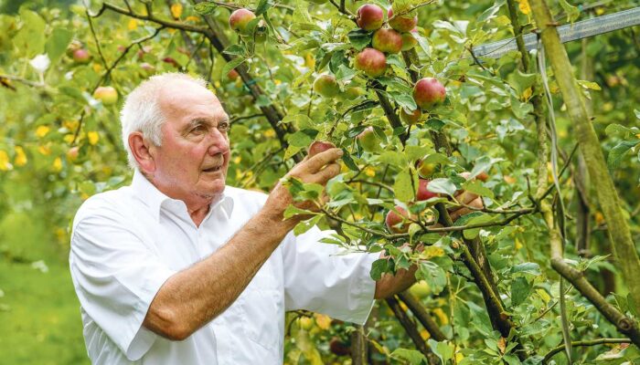 Ländle Apfel Produzent Toni Schiefer