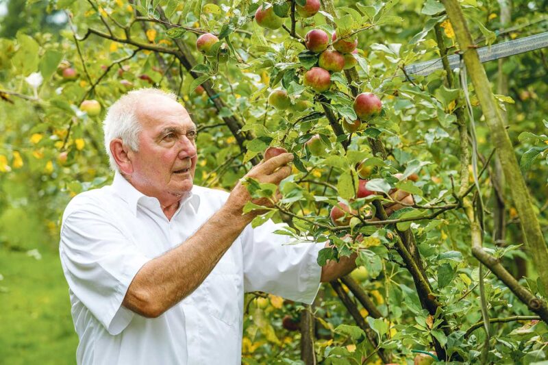 Ländle Apfel Produzent Toni Schiefer