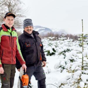 Zwei Männer Stehen Inmitten Einer, Mit Schnee Bedeckten, Christbaumplantage, Einer Davon Hält Eine Motorsäge In Der Hand