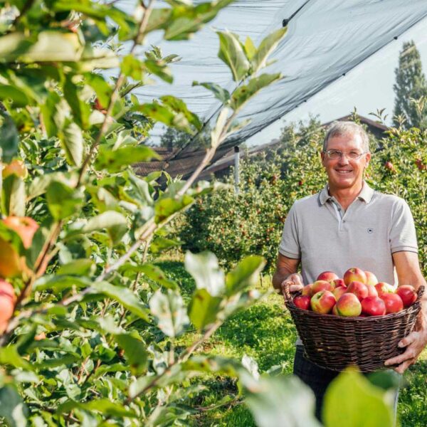 Jens Blum hält einen Korb voller Ländle Äpfel in der Hand, im Hintergrund ist seine Apfelplantage zu sehen