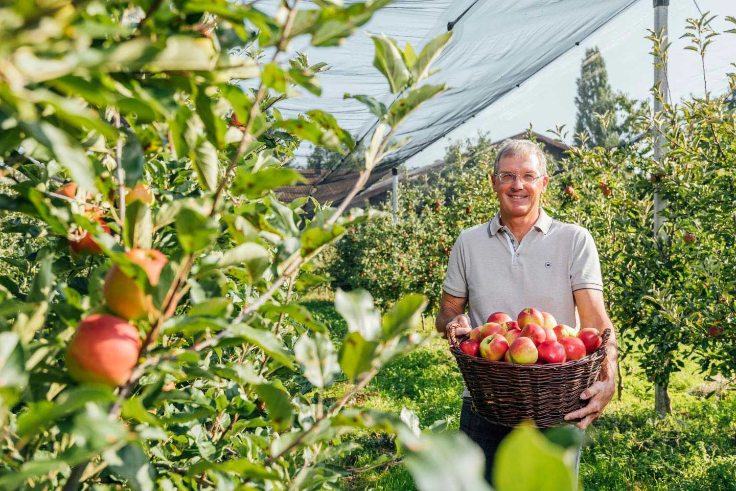 Jens Blum Hält Einen Korb Voller Ländle Äpfel In Der Hand, Im Hintergrund Ist Seine Apfelplantage Zu Sehen