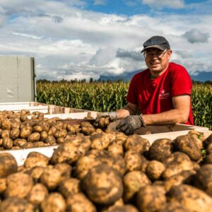 Kilian Schatzmann Steht Auf Einem Anhänger Der Mit Kartoffeln Gefüllt Ist