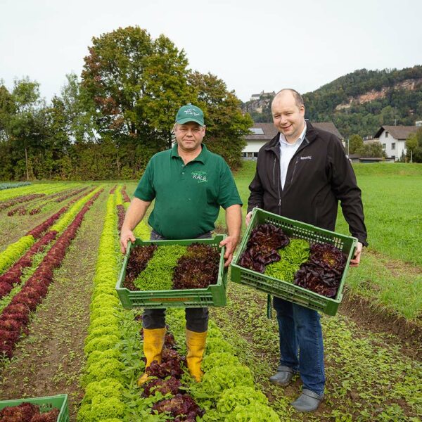 Stefan Hechenberger mit Andreas Kalb auf dessen Feld mit Salatköpfen