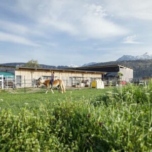 Ohne Pferde Würde Rainer’s Western Ranch Seinem Namen Nicht Gerecht Werden (Foto: Weissengruber)