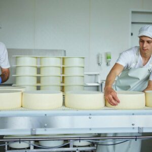 Zwei Mitarbeiter Der Alpenkäse Bregenzerwald Bei Der Käseherstellung. (Foto: Christoph Pallinger)