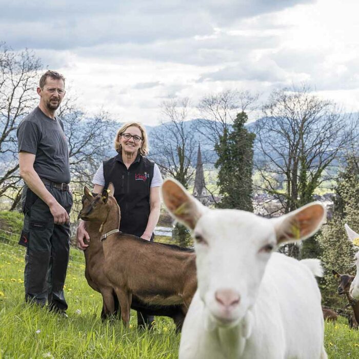 Mario und Bettina König mit ihren Ziegen auf der Weide - Foto: Michael Kreyer