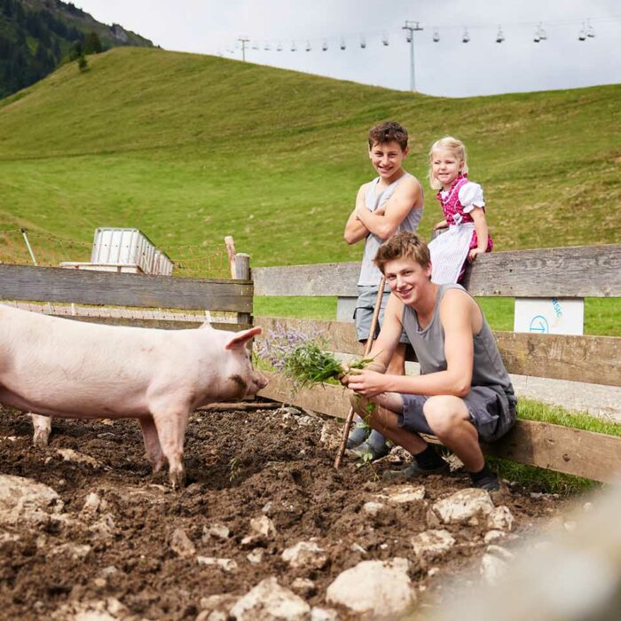 Alpe Gemeine Brongen - Kinder der Familie Meusburger bei Alpschweinen - Foto: Pallinger