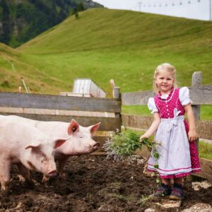 Alpe Gemeine Brongen – Mina Meusburger Bei Den Alpschweinen – Foto: Pallinger