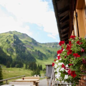 Alpe Gemeine Brongen Mit Schönem Blick Auf Den Berg – Foto: Pallinger