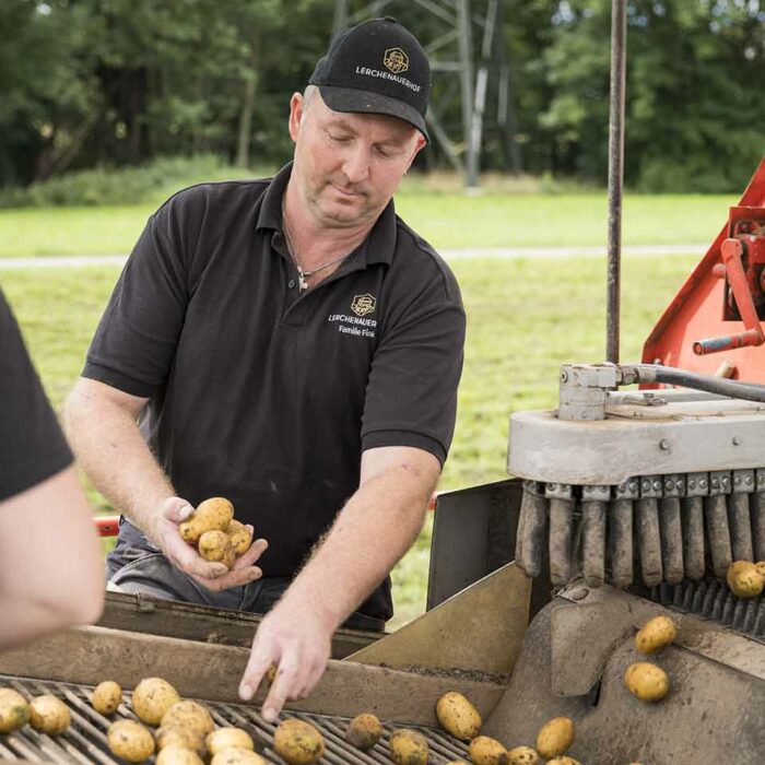 Georg Fink bei der Kartoffelernte - Foto: Michael Kreyer