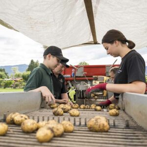 Familie Fink Sortiert Kartoffeln Auf Der Erntemaschine – Foto: Michael Kreyer
