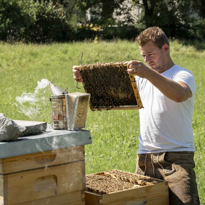 Rene Hetz betrachtet eine Bienenwabe_Bio Imkerei Hetz_Foto Michael Kreyer