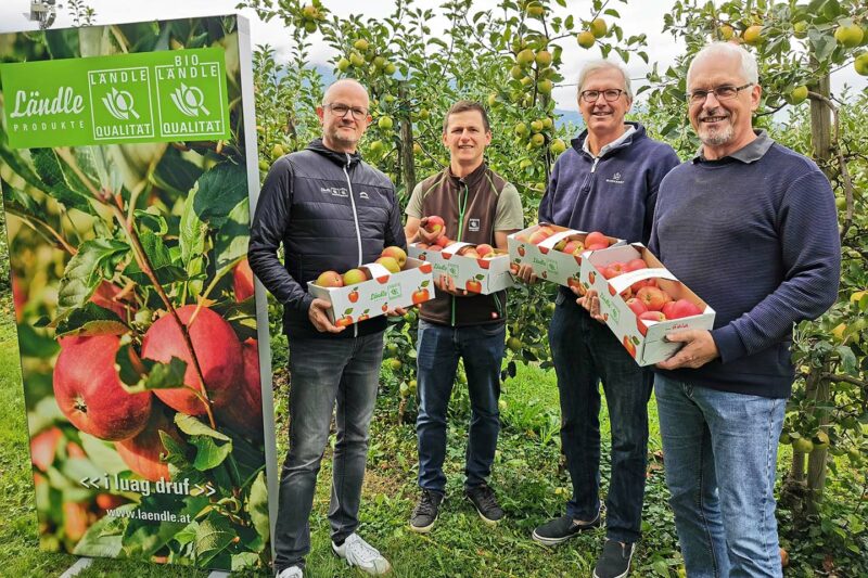 Ländle Apfel Pressekonferenz: Marcel Strauß (Ländle Marketing), Simon Matt (Balottahof), Jens Blum (Wiesenhof), Ulrich Höfert (LK Vorarlberg). (Foto: Ländle Marketing)