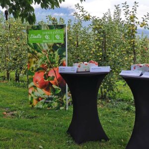 Vorbereitungen Für Die Ländle Apfel Pressekonferenz Am Balottahof In Schlins. (Ländle Marketing)