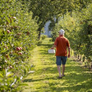 Manfred Nägele – Manfred Läuft Durch Seine Plantage (Foto: Michael Kreyer)