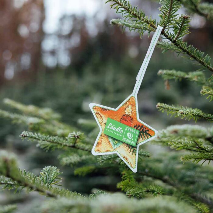 Agrargemeinschaft Weiler - Christbaumstern mit Ländle Gütesiegel am Baum - Foto: manuelpaul.com