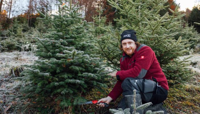 Agrargemeinschaft Weiler - Ing. Arthur Heel In Der Christbaumkultur - Foto: Manuelpaul.com