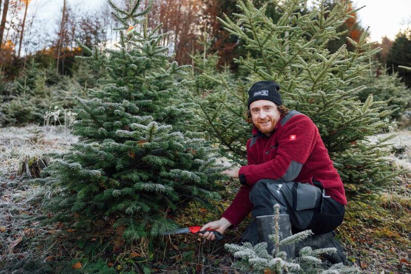 Agrargemeinschaft Weiler - Ing. Arthur Heel In Der Christbaumkultur - Foto: Manuelpaul.com