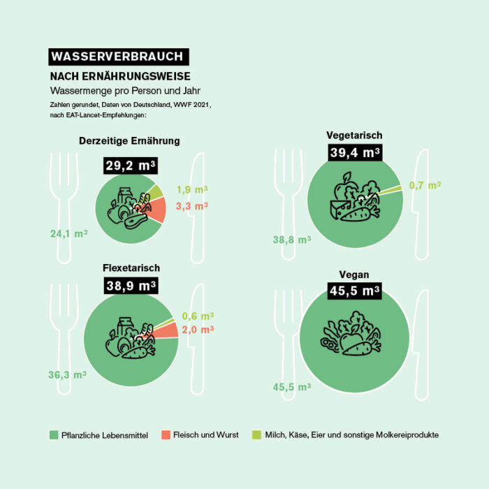 Grafik Wasserverbrauch nach Ernährung